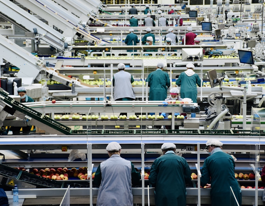 Nam Phuong Viet Assembly Line